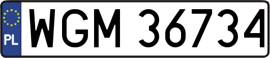 WGM36734