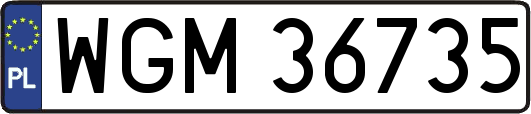 WGM36735
