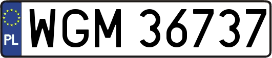 WGM36737