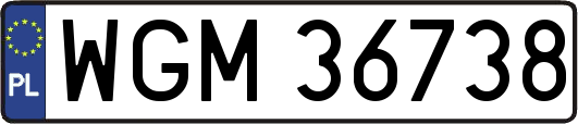 WGM36738