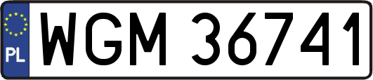 WGM36741