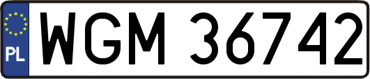 WGM36742