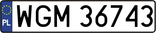WGM36743