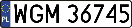 WGM36745