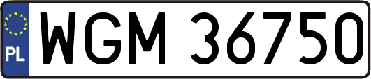 WGM36750
