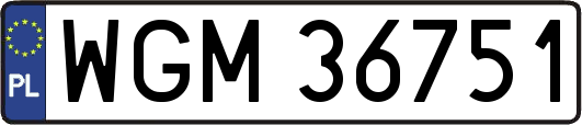 WGM36751