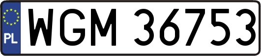 WGM36753