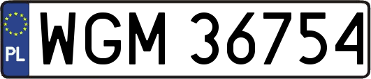 WGM36754