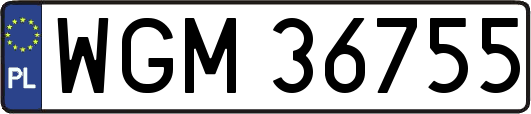 WGM36755