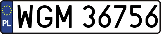 WGM36756
