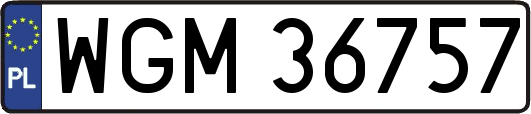 WGM36757