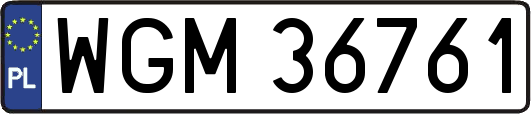 WGM36761