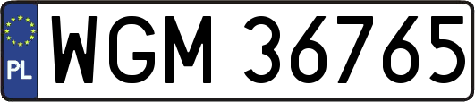 WGM36765