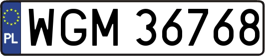 WGM36768