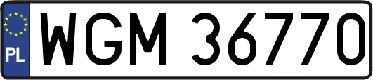 WGM36770