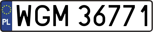 WGM36771