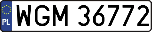 WGM36772