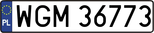 WGM36773