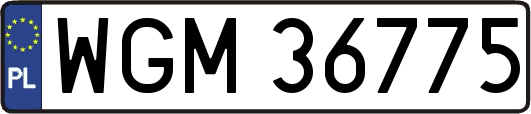 WGM36775