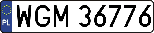 WGM36776