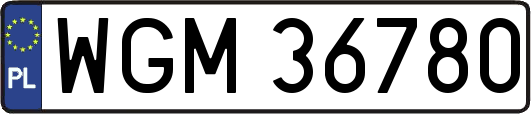 WGM36780