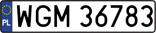 WGM36783
