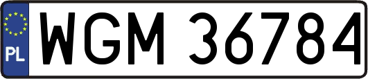 WGM36784
