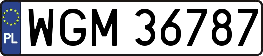 WGM36787