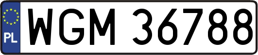 WGM36788