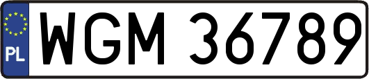 WGM36789