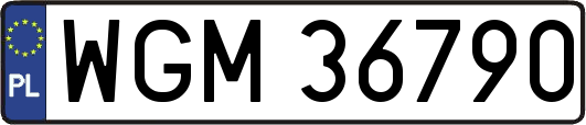 WGM36790