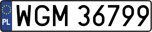WGM36799