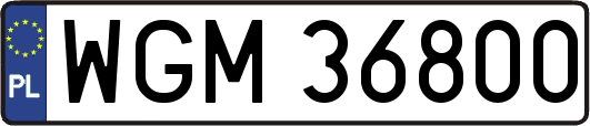 WGM36800