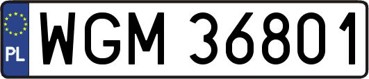 WGM36801