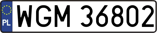 WGM36802