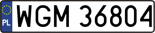 WGM36804