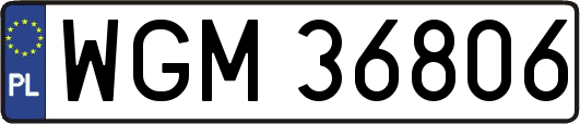 WGM36806