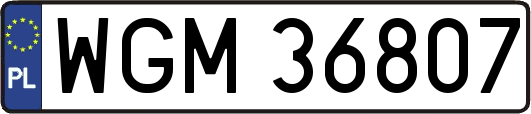 WGM36807