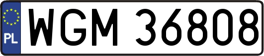 WGM36808