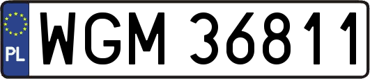 WGM36811