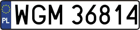 WGM36814