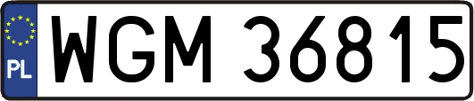 WGM36815