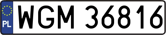 WGM36816