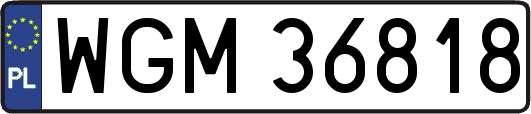 WGM36818