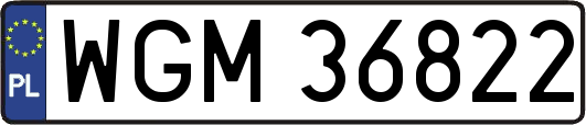 WGM36822