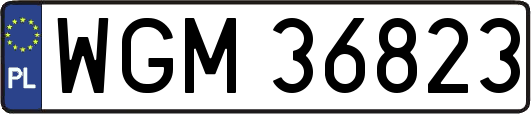 WGM36823