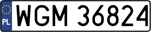 WGM36824