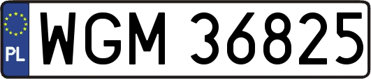 WGM36825