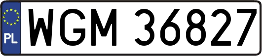 WGM36827