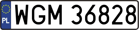 WGM36828